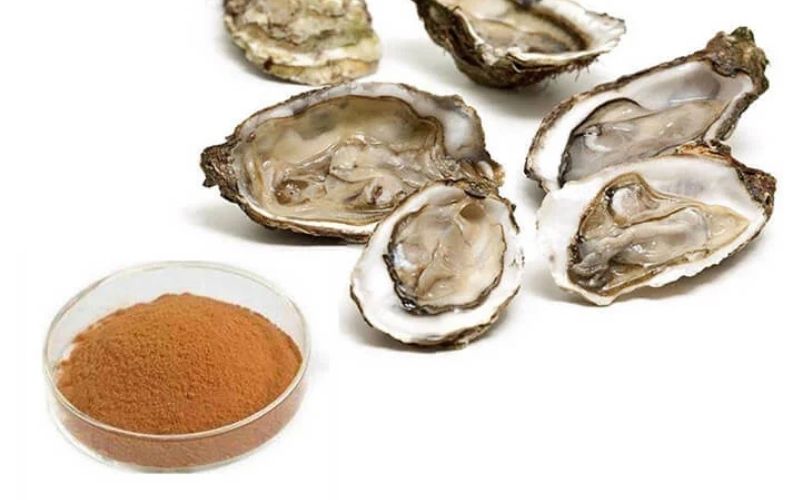 Quy trình sản xuất bột chiết xuất hàu chất lượng cao cho ngành thực phẩm
