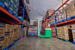 Strong export and distribution capabilities