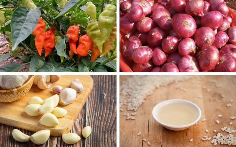 Định lượng nguyên liệu để nấu món sốt Habanero