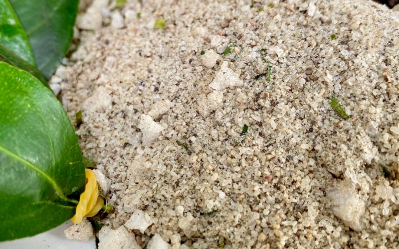 3 Bước Đơn Giản Làm Muối Tiêu Lá Chanh Ngay Tại Nhà